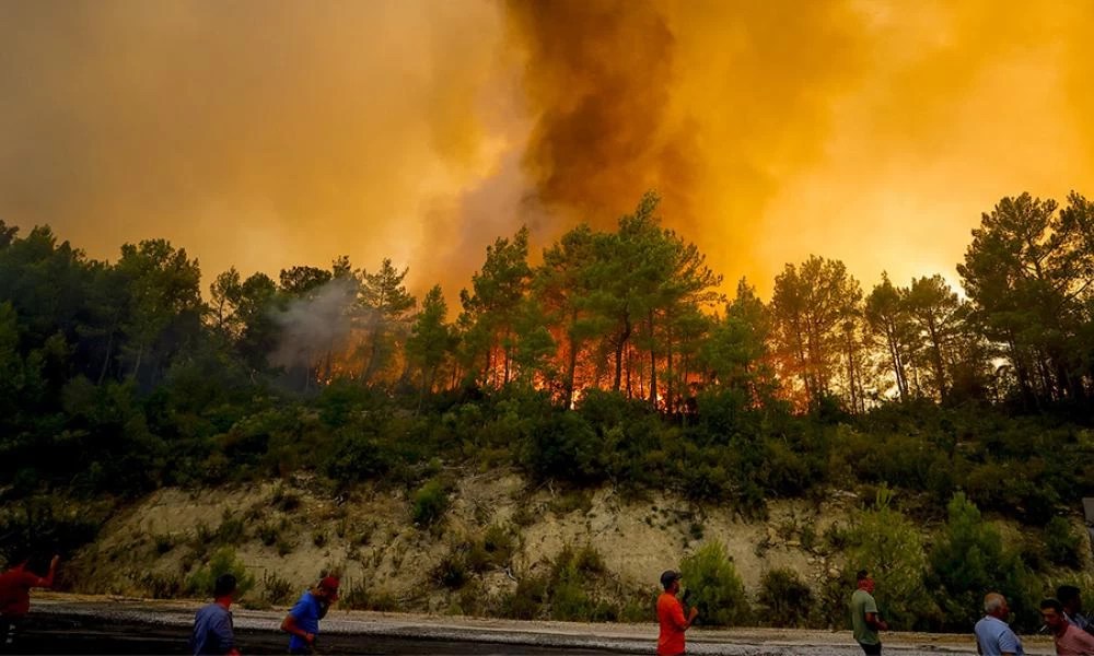 Φωτιές στην Τουρκιά: Σε τεντωμένο σχοινί ο Ερντογάν - Σφοδρές επικρίσεις